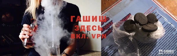 крисы Алексин