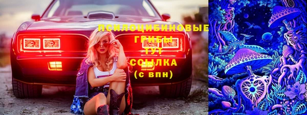 крисы Алексин