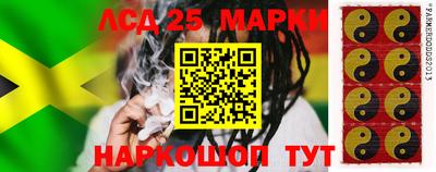 стаф Можга