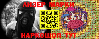 стаф Можга