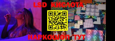 стаф Можга