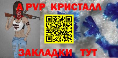 стаф Можга