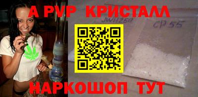 стаф Можга