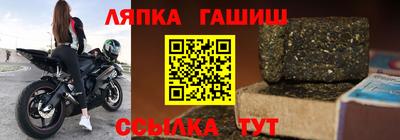 стаф Можга